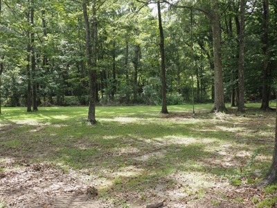 Beautiful 5 BR 4 Bath home 4300 sq ft Sw Mississippi - image 42