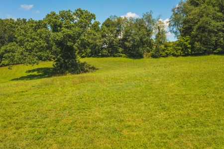 Commercial Property for Sale in Hillsville VA - image 4