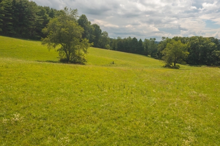 Carroll County VA Land for Sale - image 5