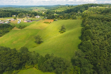 Carroll County VA Land for Sale - image 1