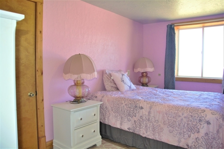 Multi-Use Commercial, Horse, Farming, Residential Property - image 25