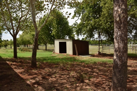 Fantastic Country Home on Acreage- Blanchard & Newcastle - image 16