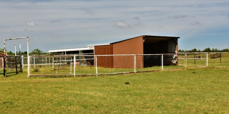Fantastic Country Home on Acreage- Blanchard & Newcastle - image 22