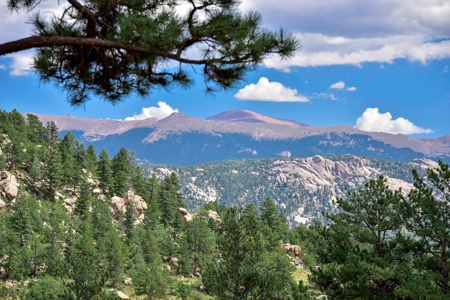 Colorado Log Home for sale - image 2
