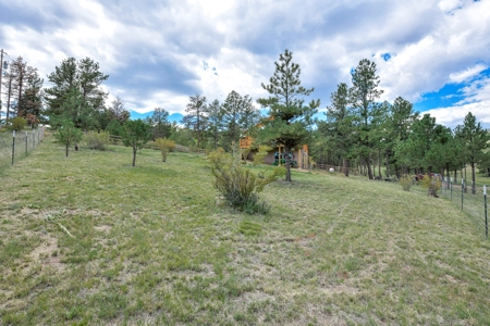 Colorado Log Home for sale - image 17