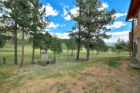Colorado Log Home for sale - image 20
