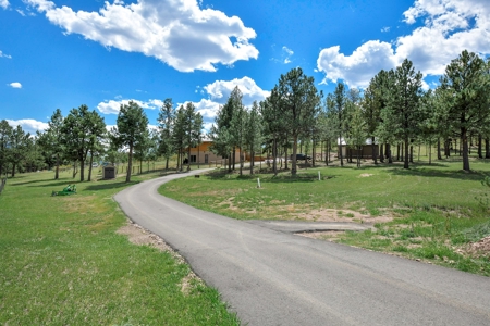 Colorado Log Home for sale - image 5