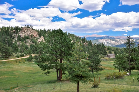 Colorado Log Home for sale - image 3