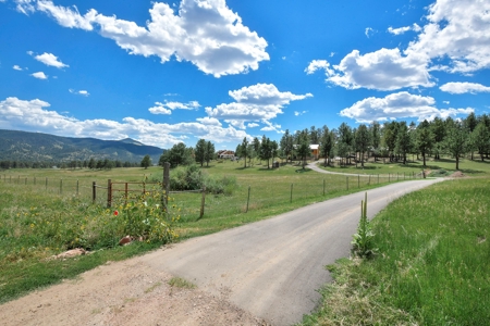 Colorado Log Home for sale - image 4
