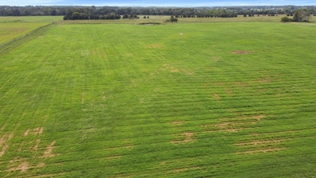 Mo Ranch With Row Crop Acreage, Live Water, Home - image 7