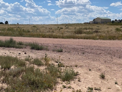 Fabulous 1.10 Acre Lot For Sale in Pueblo West Colorado - image 2