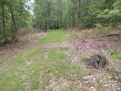 Land For Sale Pineville Missouri - image 47