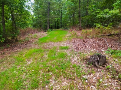 Land For Sale Pineville Missouri - image 24
