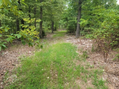 Land For Sale Pineville Missouri - image 28
