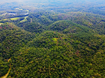 Land For Sale Pineville Missouri - image 32