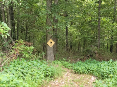 Land For Sale Pineville Missouri - image 27