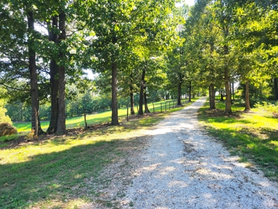 Land For Sale Pineville Missouri - image 3
