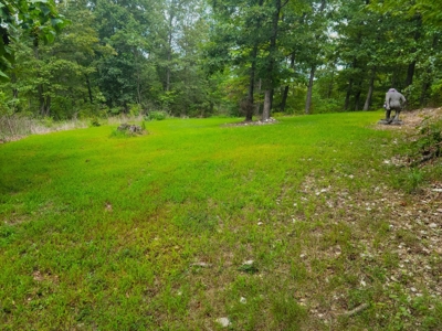 Land For Sale Pineville Missouri - image 30
