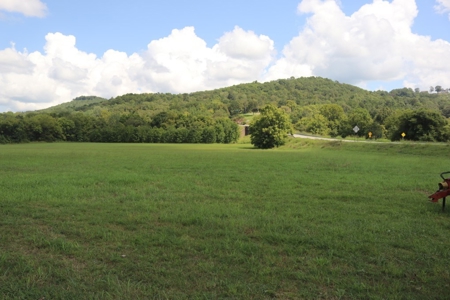 Prime Development Property - image 7