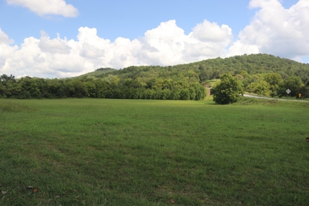 Prime Development Property - image 5