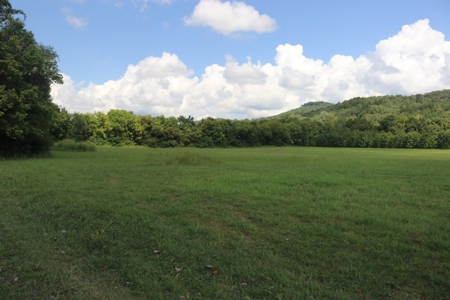 Prime Development Property - image 6