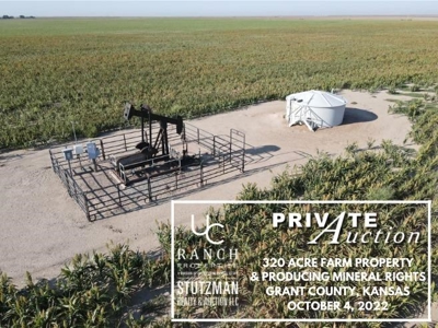 Grant County, Kansas ~ 320 Acre Farm ~ Private Auction - image 2