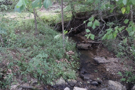 Ozarks Wooded Acreage With Creek Frontage For Sale - image 2