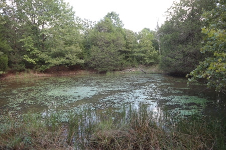 Ozarks Wooded Acreage With Creek Frontage For Sale - image 24