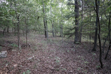 Ozarks Wooded Acreage With Creek Frontage For Sale - image 8