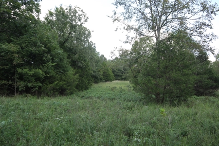 Ozarks Wooded Acreage With Creek Frontage For Sale - image 29