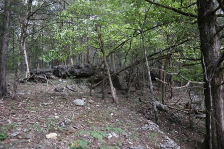 Ozarks Wooded Acreage With Creek Frontage For Sale - image 16