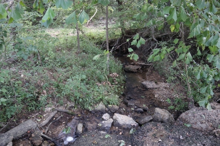 Ozarks Wooded Acreage With Creek Frontage For Sale - image 3