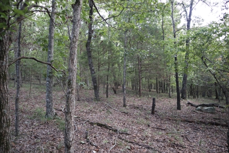 Ozarks Wooded Acreage With Creek Frontage For Sale - image 7