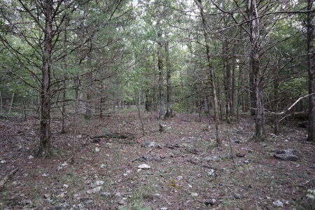 Ozarks Wooded Acreage With Creek Frontage For Sale - image 22