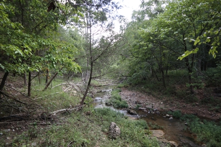 Ozarks Wooded Acreage With Creek Frontage For Sale - image 15