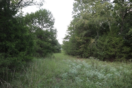 Ozarks Wooded Acreage With Creek Frontage For Sale - image 30