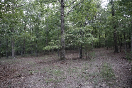 Ozarks Wooded Acreage With Creek Frontage For Sale - image 25