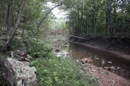 Ozarks Wooded Acreage With Creek Frontage For Sale - image 11