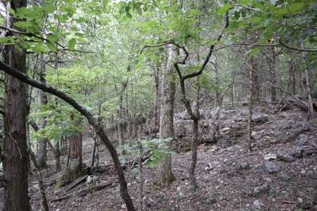 Ozarks Wooded Acreage With Creek Frontage For Sale - image 20