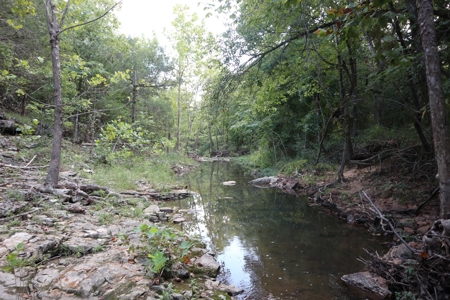 Ozarks Wooded Acreage With Creek Frontage For Sale - image 19