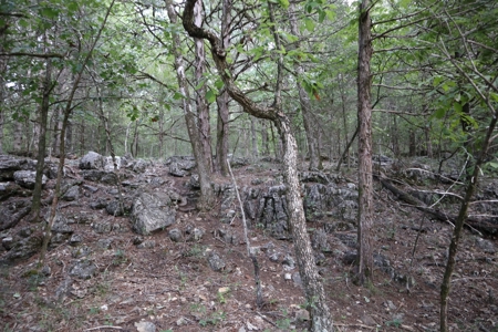 Ozarks Wooded Acreage With Creek Frontage For Sale - image 21