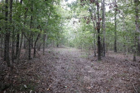 Ozarks Wooded Acreage With Creek Frontage For Sale - image 27