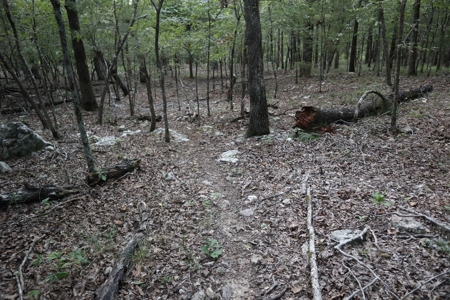 Ozarks Wooded Acreage With Creek Frontage For Sale - image 23