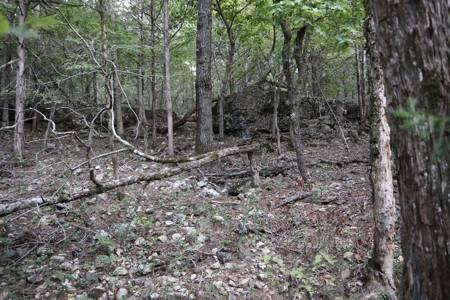 Ozarks Wooded Acreage With Creek Frontage For Sale - image 18