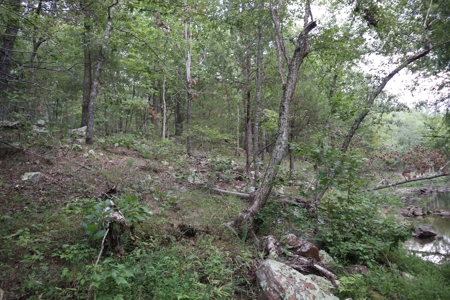 Ozarks Wooded Acreage With Creek Frontage For Sale - image 13