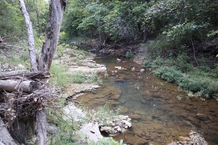 Ozarks Wooded Acreage With Creek Frontage For Sale - image 17