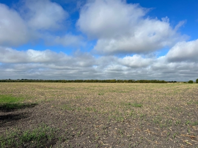 Great Farmland, Homesite, Rural Living, Blank Canvas,Hunting - image 4