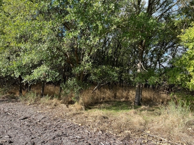Great Farmland, Homesite, Rural Living, Blank Canvas,Hunting - image 8