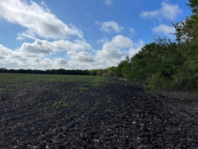 Great Farmland, Homesite, Rural Living, Blank Canvas,Hunting - image 9