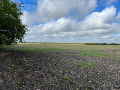 Great Farmland, Homesite, Rural Living, Blank Canvas,Hunting - image 21